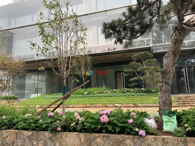 万科时代中心·奥林